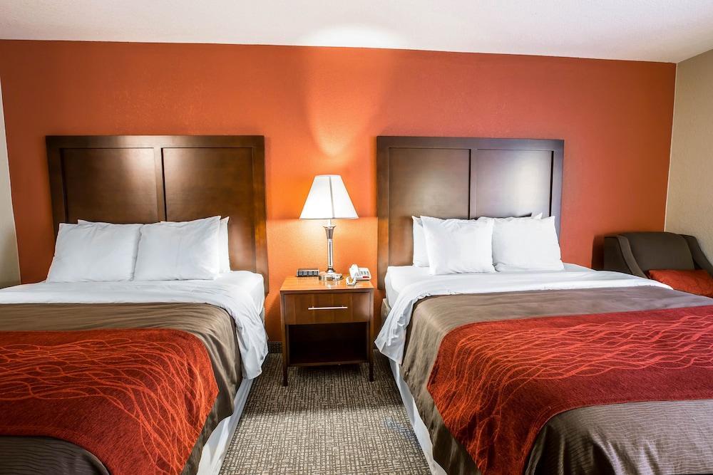 Comfort Near Great Smoky Mountain National Park